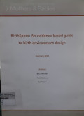 BirthSpace: An Evidence-Based Guide to Birth Environment Design