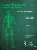 Anatomi Susunan Saraf Manusia