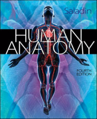 Human Anatomy