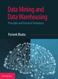 Data Mining and Data Warehousing: Principles and Practical Techniques